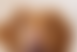  Is there a one-to-one Animal Equivalent of Human Rosacea