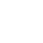 Leaf putih.png