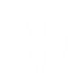 Leaf putih.png