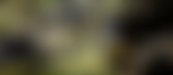 Mata Air Lero Ngendha dan Jejak Hutan yang Pernah Lebat di Nginamanu