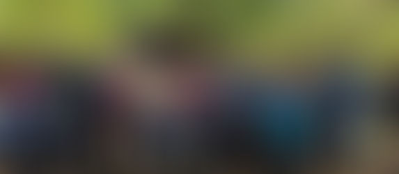 Menjaga Mata Air Ae Ino dan Ae Bola melalui Penanaman 100 Anakan di Denatana Timur