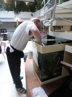 aquarium