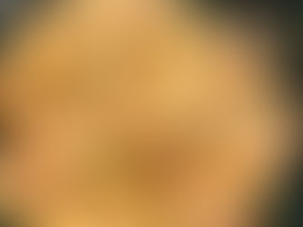 「コロナに負けるな!週末特別セール」のお知らせ