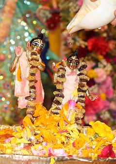 cover photo.JPG