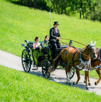 Kutschenfahrten_Hochzeit_Urnäsch6.jpeg