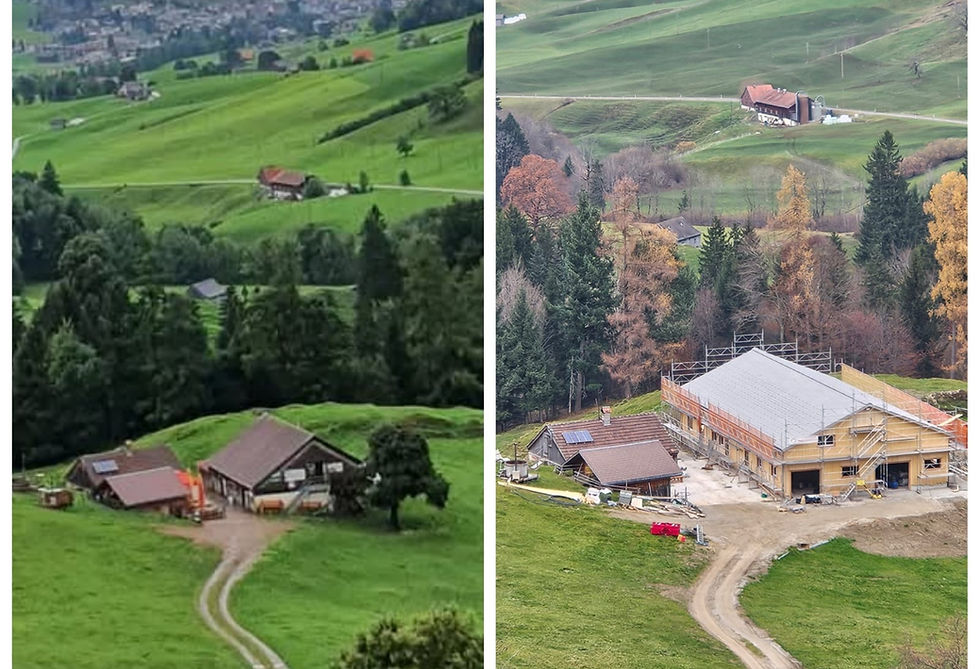 Stallumbau vorher/nachher Lillybeizli