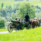Kutschenfahrten_Hochzeit_Urnäsch7.jpeg