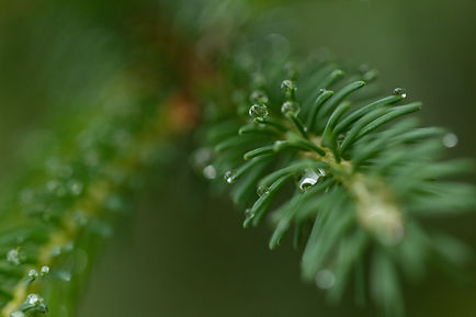 3T0A6397.jpg