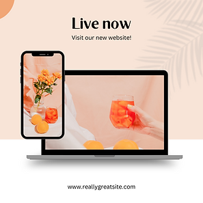 clean shoe instagram post (9).png