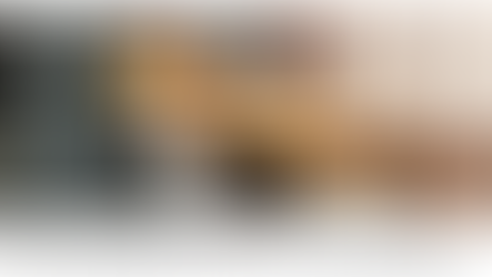 State Disability Insurance Mandates - Updated 2024