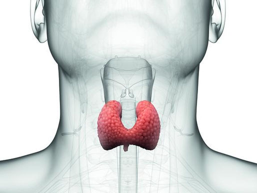 Thyroid Awareness Month