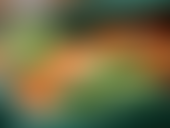 Why PMFrozenFoods Frozen Products Are Your Top Choice