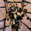 Thumbnail: Sirocco (Phidippus Otiosus) | Color Phase: Sunhollow - Latte