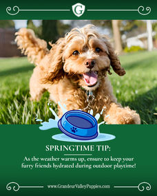 483554780_1127793102479813_1713212045118627087_n