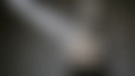 Celebrating Our Craft with the Private Stock 30th Anniversary Birds of a Feather Hollowbody I