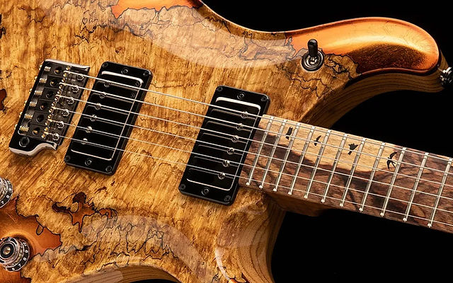 the ART of PRS プライベートストック PRS Private Stock / Brazilian Rosewood Neck 島村楽器創業 60周年