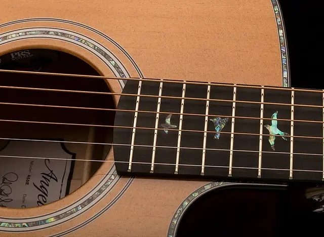 【 PRS 】ポールリードスミス SE Angelus A55EBG エレアコ The *NEW* PRS Acoustic Guitar (Angelus A55EBG) - YouTube