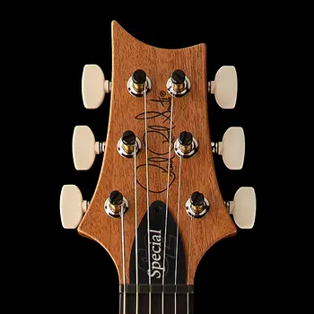 S2_Special_Semi-Hollow_Reclaimed_Limited-featuredspecs-2025-tuners.webp