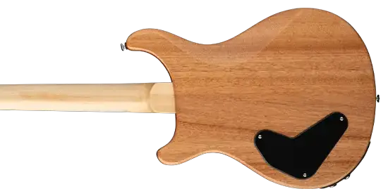 Ed Sheeran Hollowbody I Piezo Baritone Kaleidoscope_back.webp