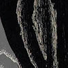 black-doghair-thumbnail.jpg