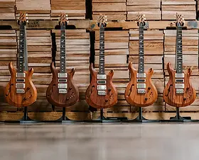 S2 Special Semi-Hollow Reclaimed Limited - 2025 | PRS Guitars Japan