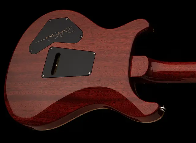 DGT SEMI-HOLLOW LIMITED EDITION - 2024 | PRS Guitars