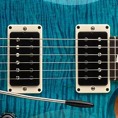 CE24 - 2025 | PRS Guitars Japan