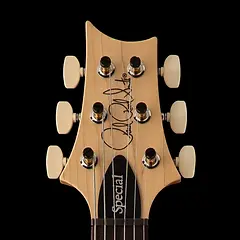 Swamp Ash Special - 2026 | PRS Guitars Japan