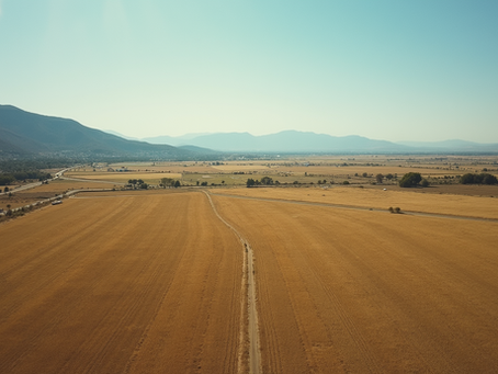 Servicios de agrimensura en Mendoza: ¿Qué ofrece Survix?