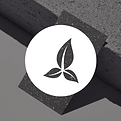 Ecological icon