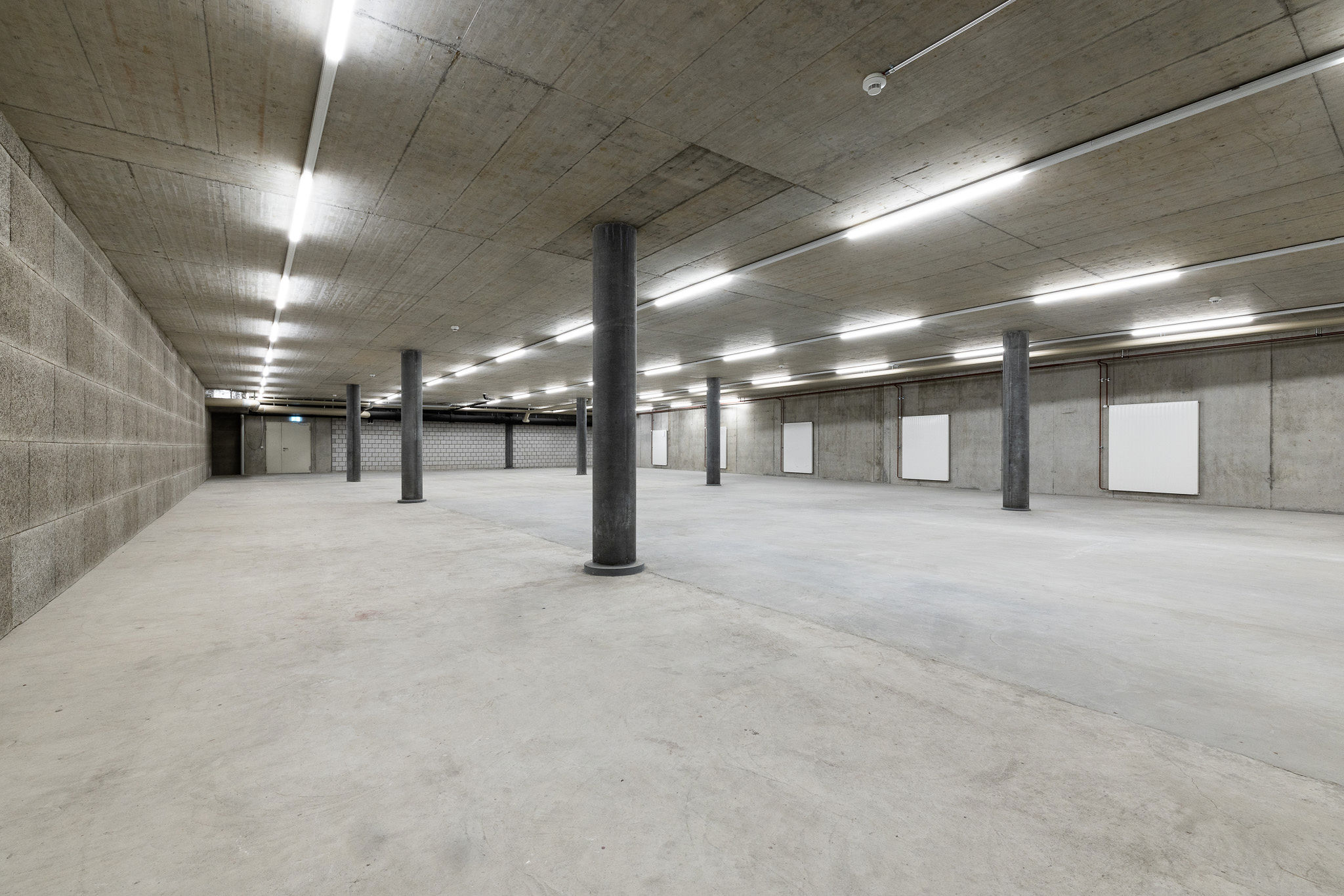 Viel Platz im Keller – für Macher ein echter Knaller