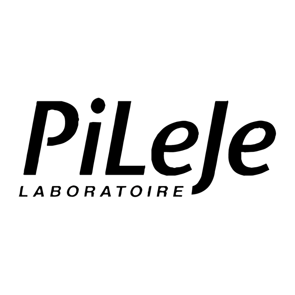 Logo Pileje Benelux - client Azulejo Studio