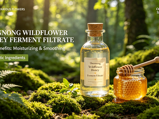 The "Liquid Gold" Market: Data-Driven Insights into Honey Extracts in Skincare