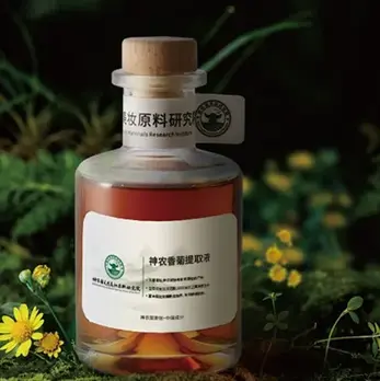 shennong wild chrysanthemum indicum extract