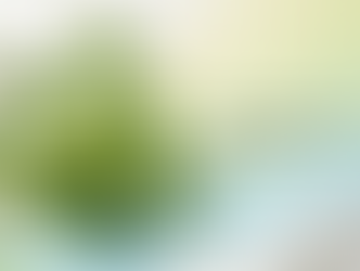 Centella Asiatica in Skincare: Extract and OEM Guide