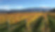 Winery.jpg