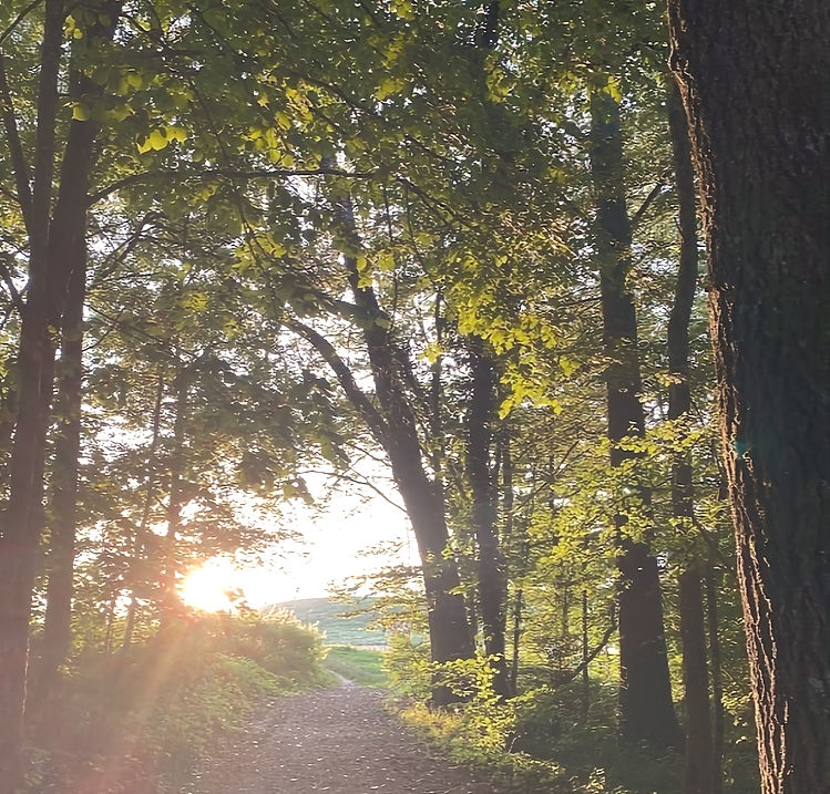 Human Design Coaching by Solaris Mentoring.jpg