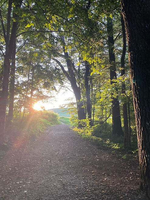 Wald von Lengnau BE.peg