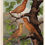 Thumbnail: Cinnamon Canaries