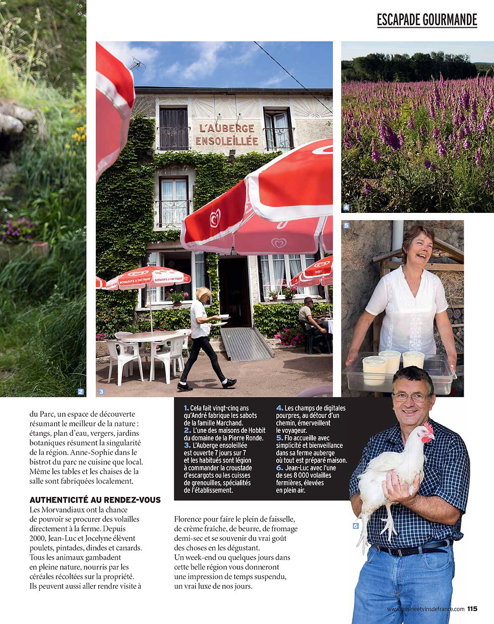 Photographe 56 |Photographe Bretagne
