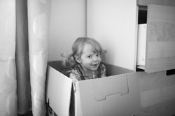 Photographe Morbihan