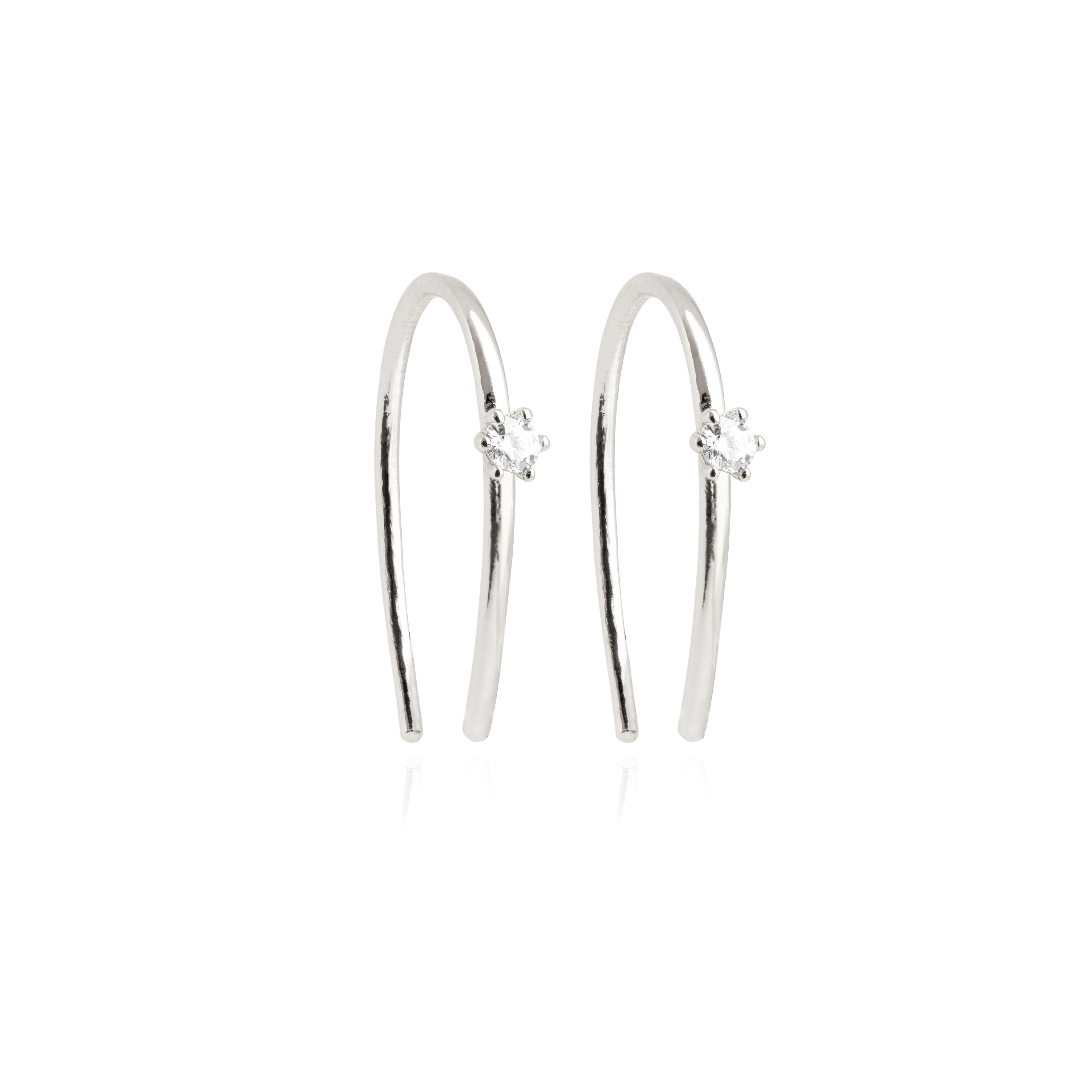 NSS Earrings in Silver