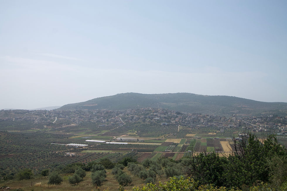 The view from the winery