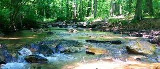 Welcome Home to Where Conservation Began!
