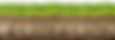 Picture of Grass