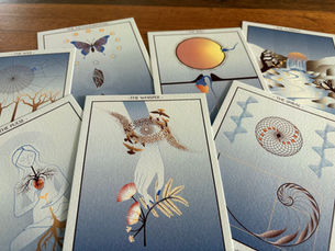 biomimicry inspiration cards