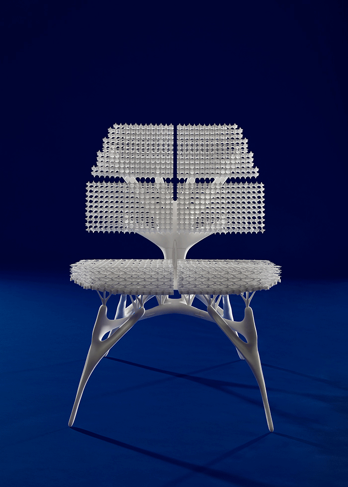 Radiolaria_blue.gif