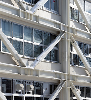 Seismic reinforced buildings.jpg