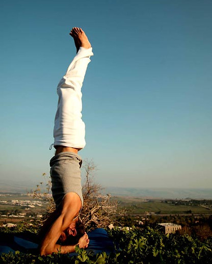 Vertigo resolution at fhs chiro