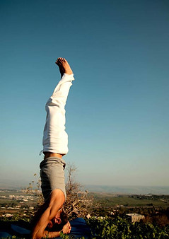Yoga Man Headstand